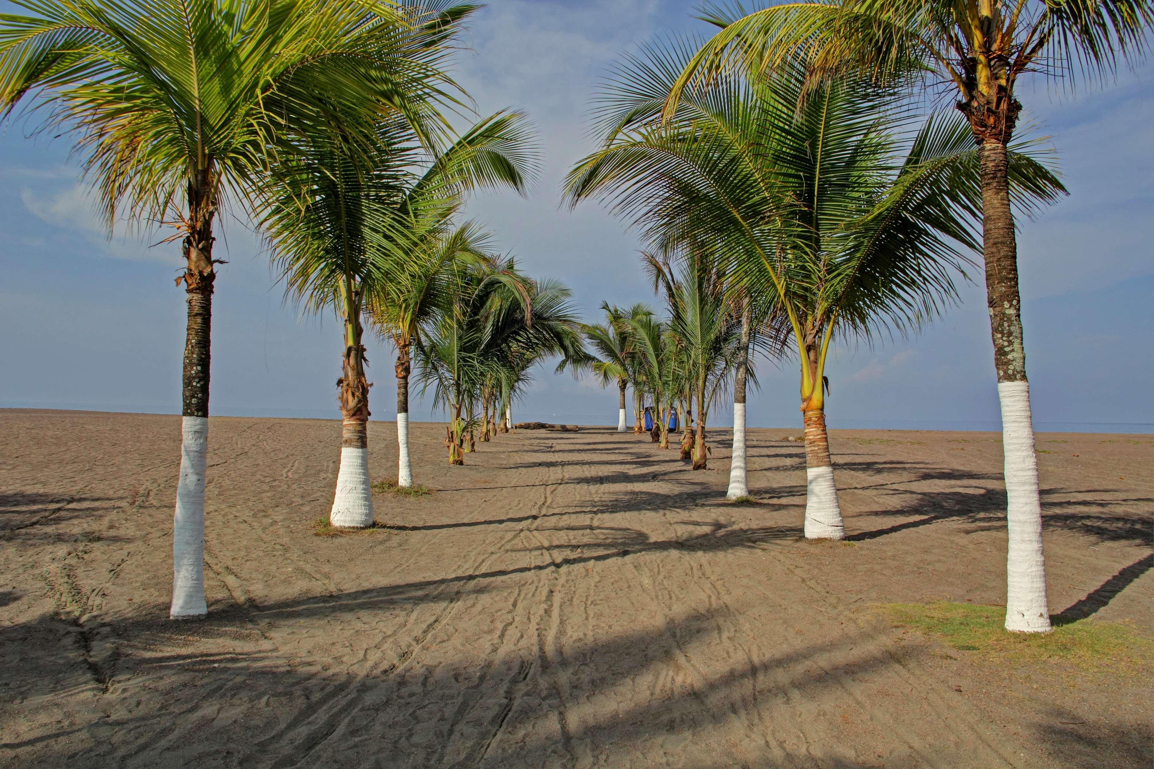 Best Western Jaco Beach All Inclusive Resort Luaran gambar